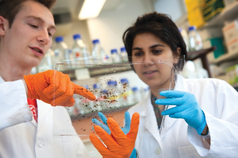 two-scientists-in-lab-discussing-about-results-of-a-DNA-test-155376223_4800x3200_preview